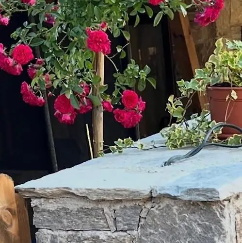 къща в родопа планина فيلة